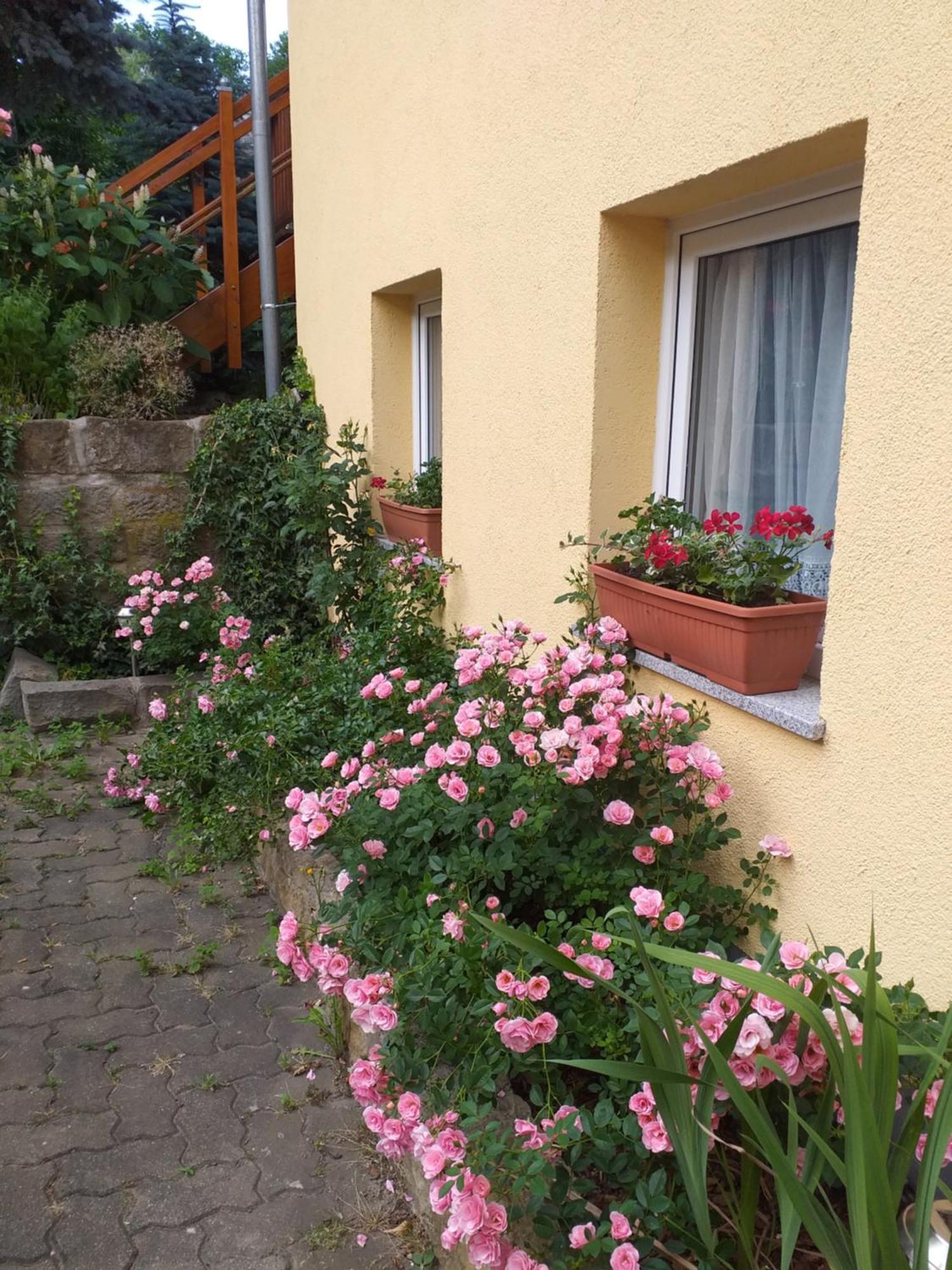 Apartment Am Hauptplatz
