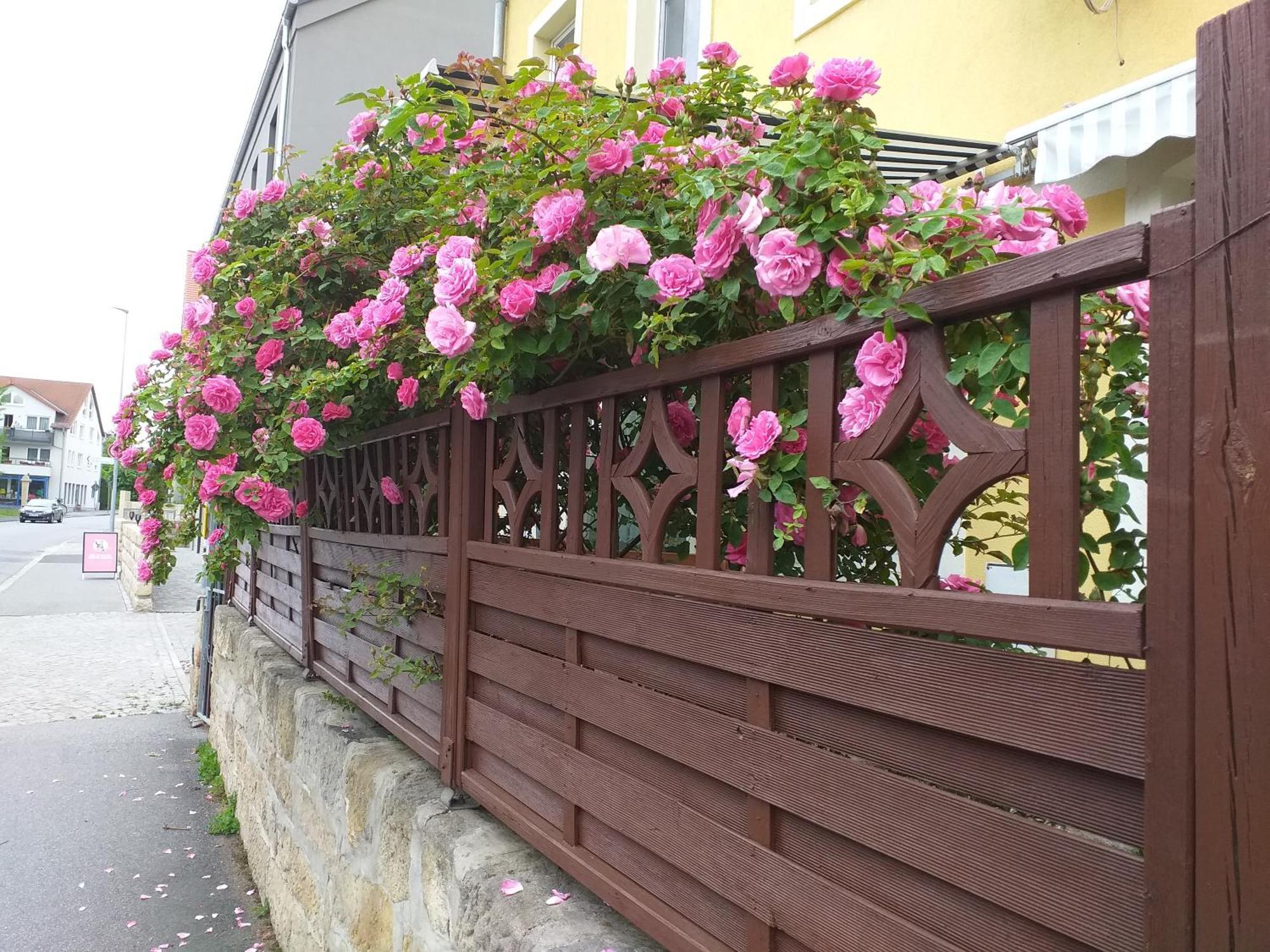 Apartment Am Hauptplatz